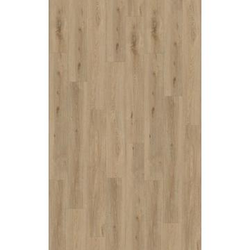 Aquinoah Nature 40 Acoustic