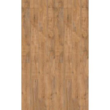 Savage Oak Honey 40 Acoustic