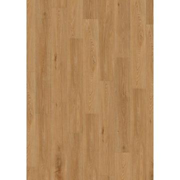 Aquinoah Honey 40 Acoustic