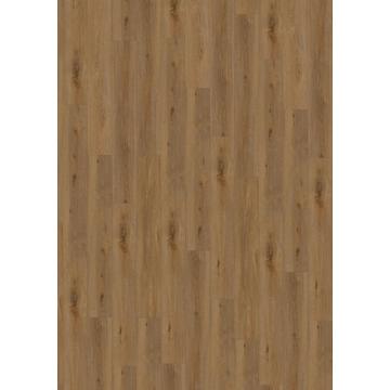 Aquinoah Honey 55 CLIC