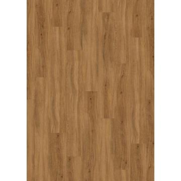 Quartet Natural 40 Acoustic