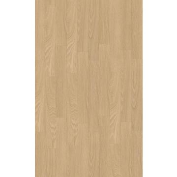 Tamo Clear 55 Acoustic 